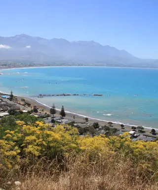 Mit dem Zug «Coastal Pacific» entlang der neuseeländischen Küste